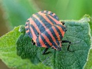 20200601_X6011120_EM1II_DxO-realHDR-crop