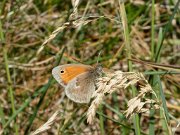 20200601_X6011130_EM1II_DxO-realHDR-crop