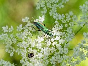 20200531_X5311050_EM1II_DxO-realHDR-crop