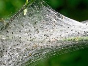 20200531_X5311057_EM1II_DxO-realHDR-crop