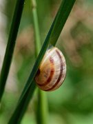 20200531_X5311059_EM1II_DxO-realHDR