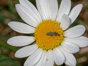 20200531_X5311072_EM1II_DxO-realHDRcrop