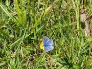 20200531_X5311088_EM1II_DxO-realHDRcrop