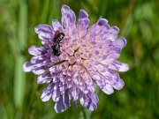 20200531_X5311091_EM1II_DxO-realHDR-crop