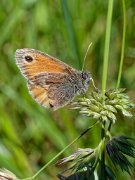 20200531_X5311097_EM1II_DxO-realHDR-crop