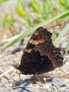 20200531_X5311098_EM1II_DxO-realHDR