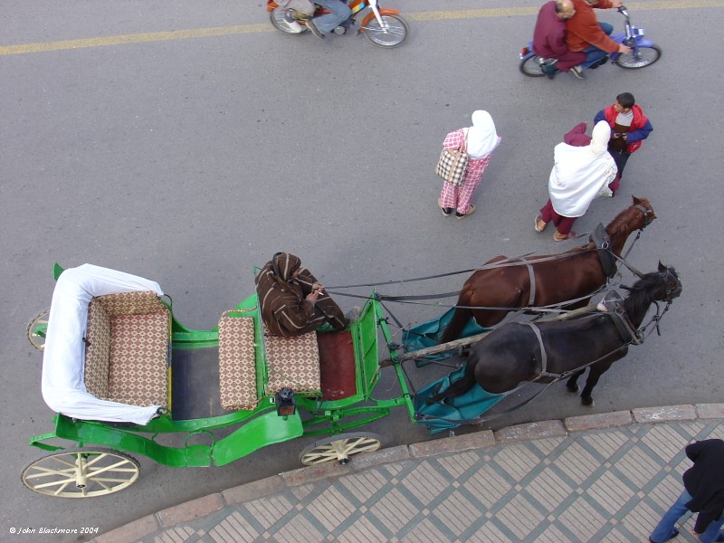 Marrakech062.jpg - horse-drawn caleche in Jemaa El Fna