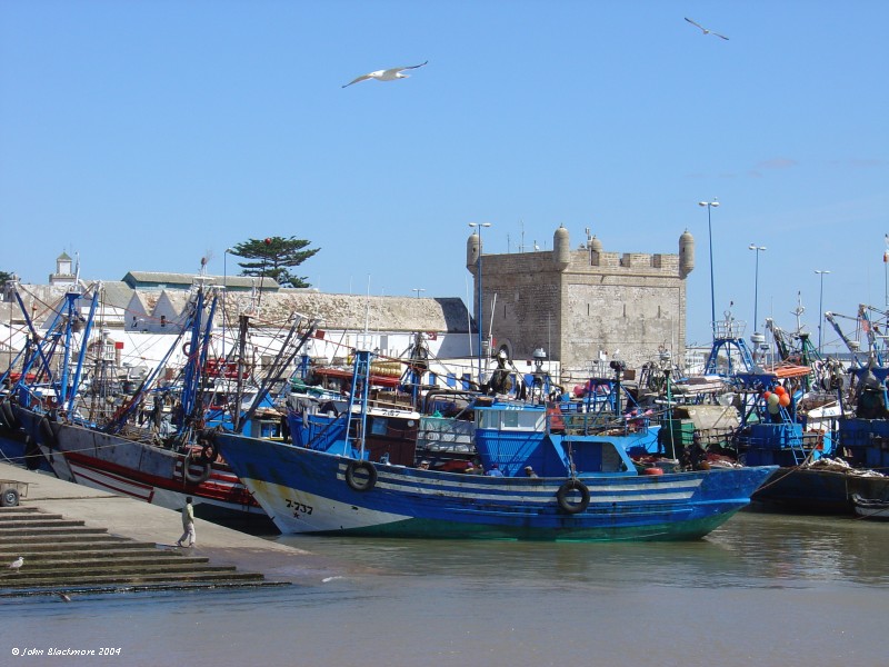 Marrakech081.jpg - Essaouira fishing boats