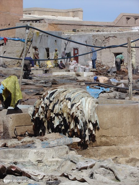 Marrakech104.jpg - camel, sheep and goat skin tanneries - Marrakech