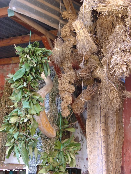 Marrakech125.jpg - herbalist stall