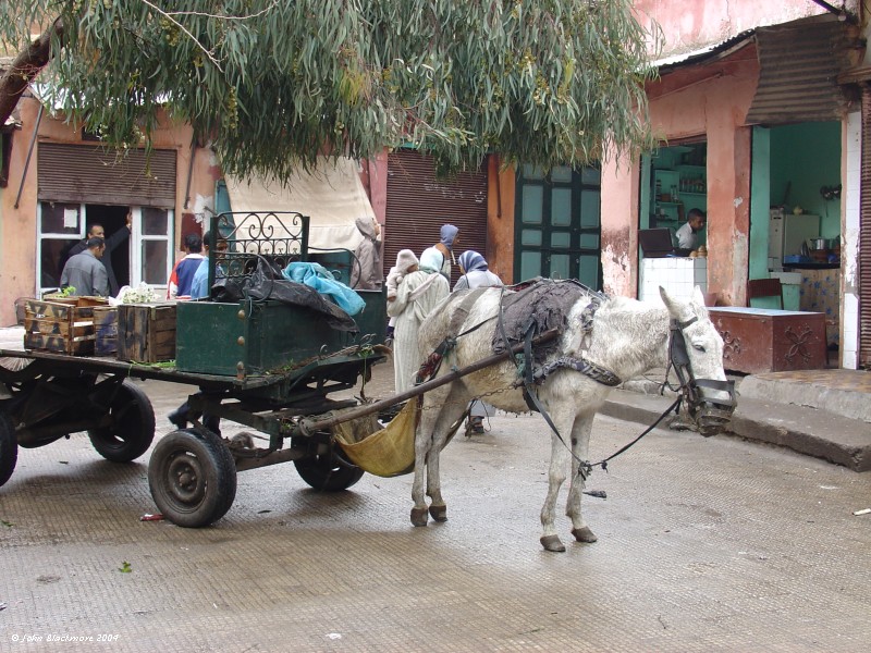 Marrakech136.jpg - local goods transport