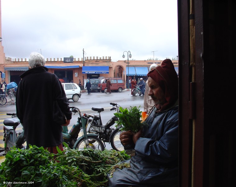 Marrakech142.jpg - mint seller by the doorway of the covered market