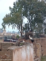 Marrakech134